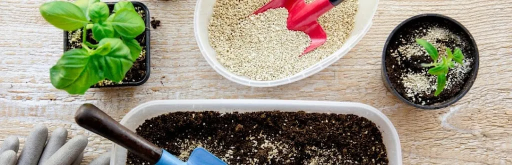 Plantines y vermiculita en bandejas de siembra